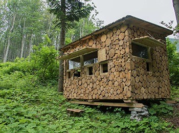 Bear sighting spot in Velebit mountains