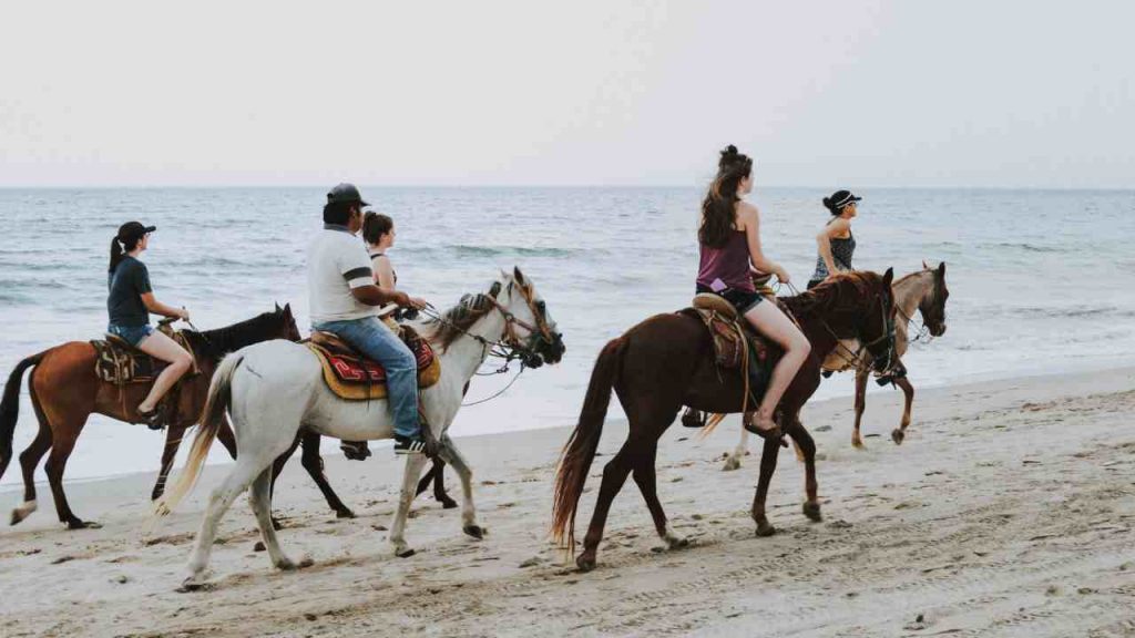 Horse Riding on the Sandy Beach