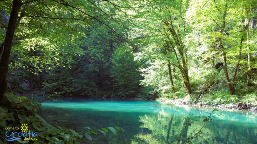 Kupa River in Spring