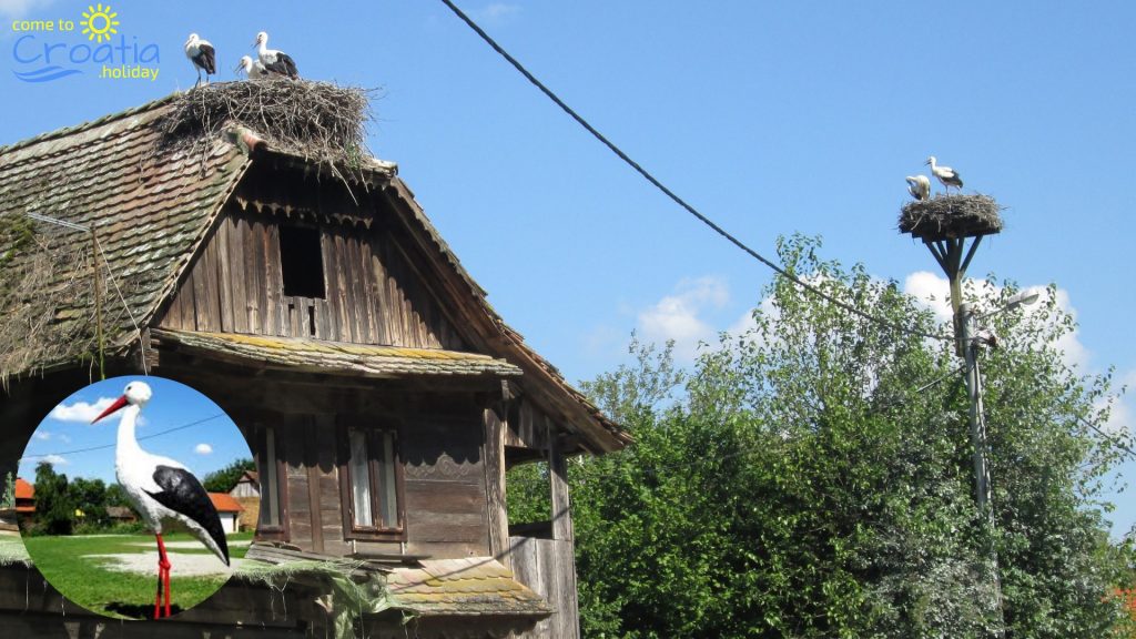 Čigoč Stork Village