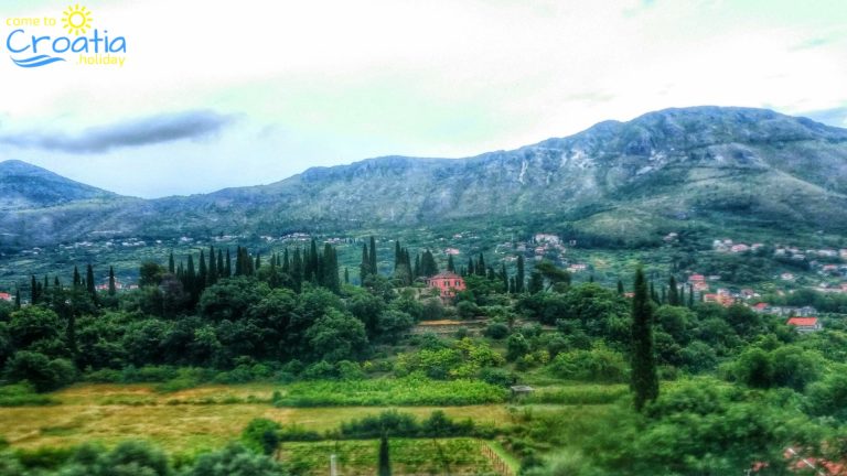 Zupa Dubrovacka
