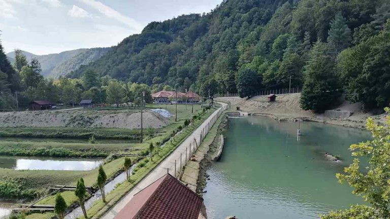 Divlje vode Bio Park 1