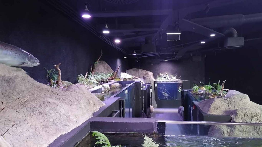 Aquarium is very dark