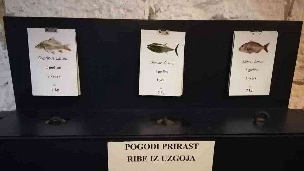 pogodi uzrast