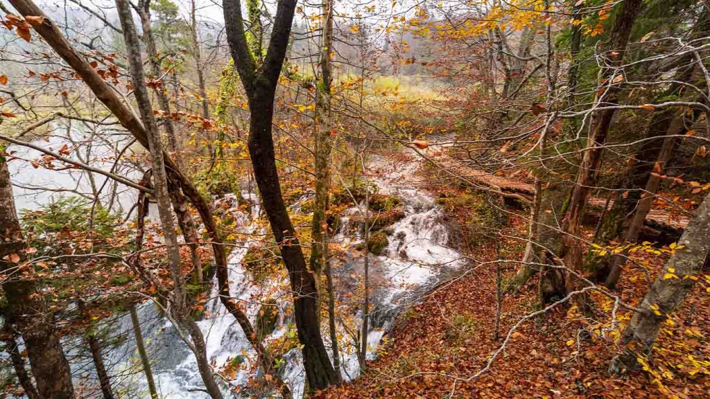 The promotional week at Plitvice Lakes in Autumn