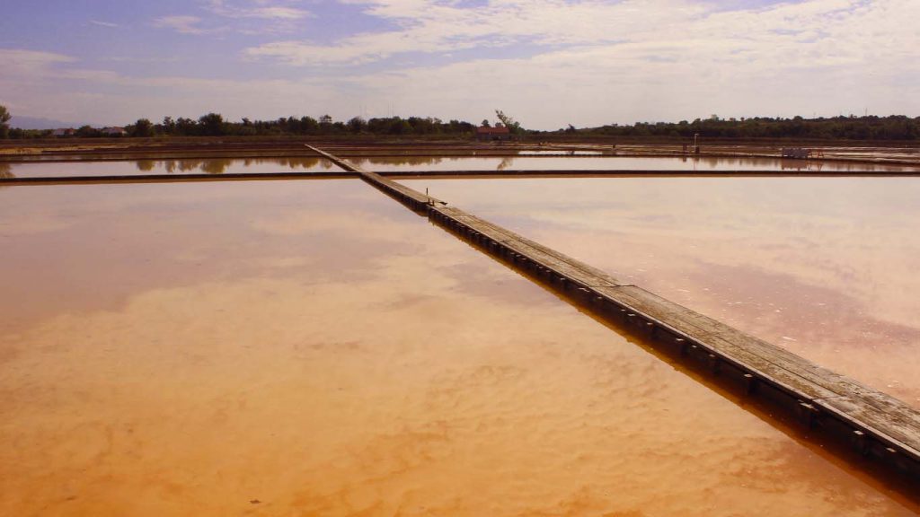 Salt fields