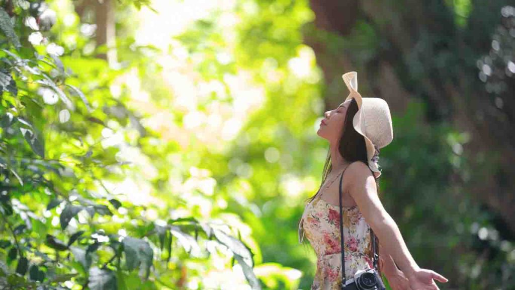 Healthy Holiday in Lika Mindfulness walk in forest