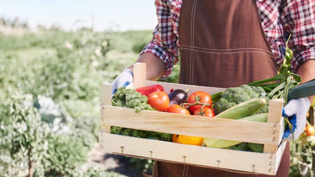 Locally grown food is always a better choice