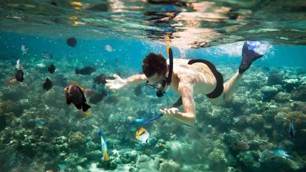 lExplore the underwater world