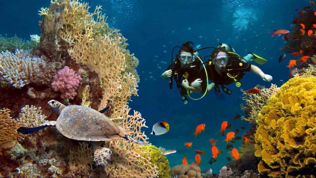 Discover the best snorkeling beaches in Croatia and explore the country's stunning underwater landscapes and diverse marine life!
