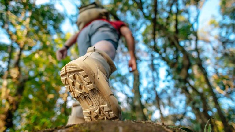 Hiking Through the Country's National Parks