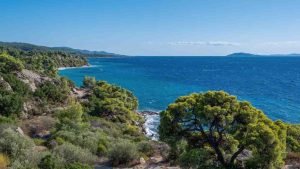 Sounds of the Island on Obonjan Island