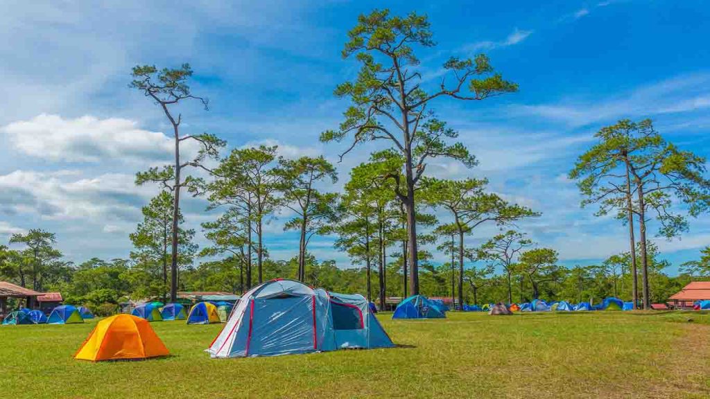 Camping on Dugi Otok - erez