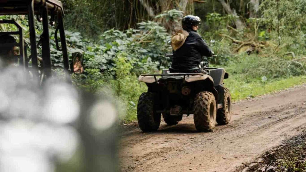 Quad Tour