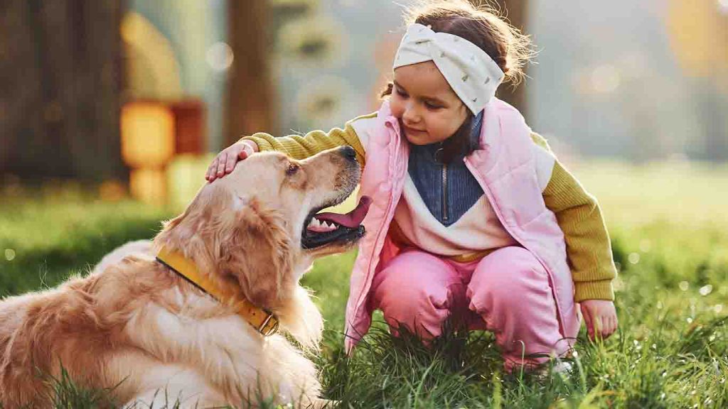 Dog Festival 2