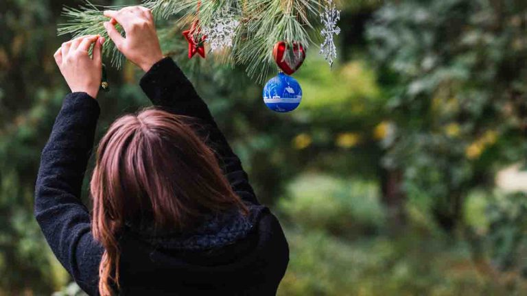 A Magical Advent Journey at Zagreb Zoo 1