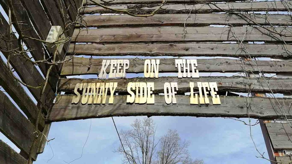 Cowboy Ranch